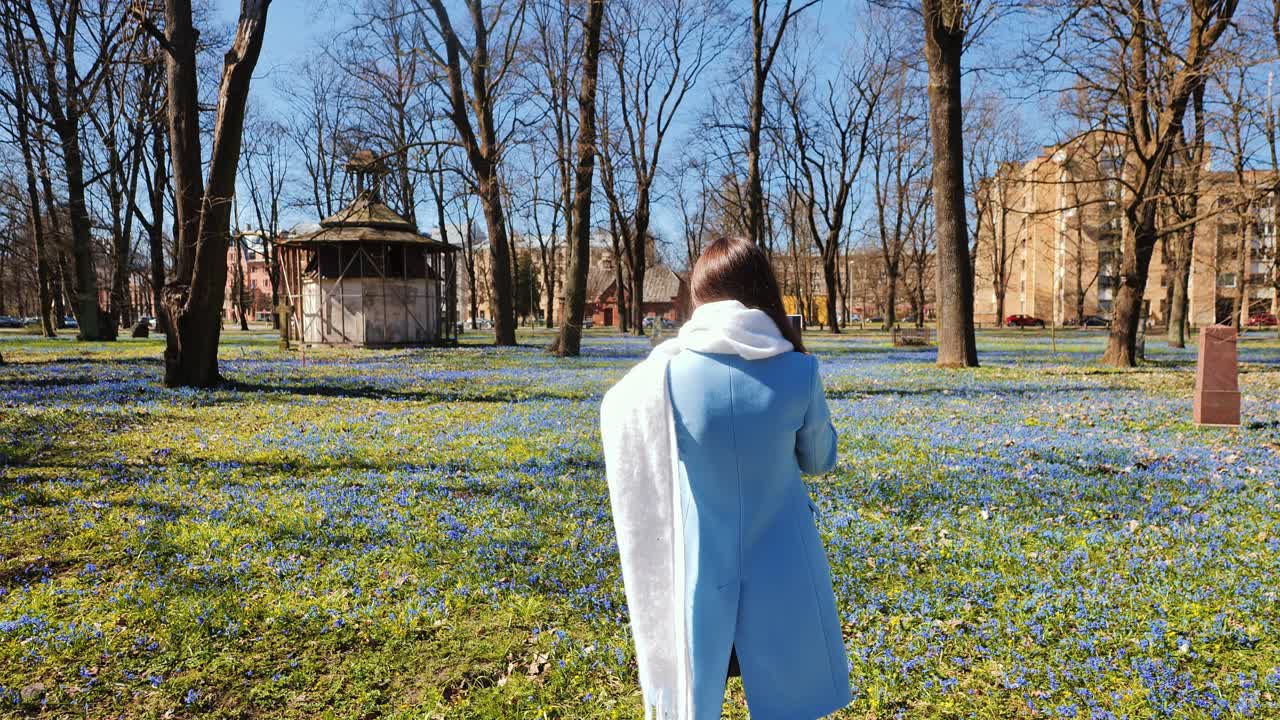 Slow motion, woman in Riga Latvia filming blue hepatica flowers foldable phone