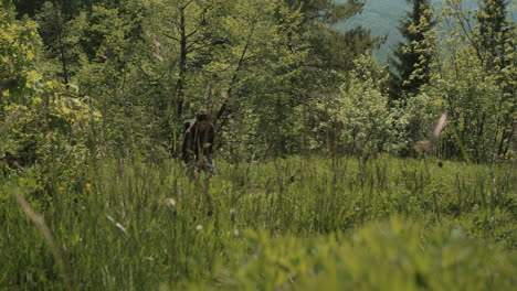 Ein-Junger-Wanderer,-Der-In-Grüner-Landschaft-Spaziert,-Umgeben-Von-Bäumen-Und-Mit-Blick-Auf-Das-Tal-Und-Die-Nahen-Berge