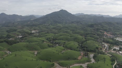 Long-Coc-Tea-Hill-En-Un-Hermoso-Día-Soleado,-Vietnam