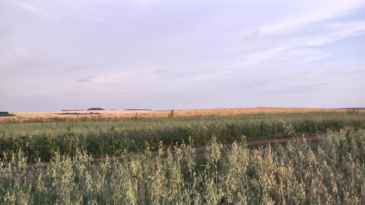 сельский пейзаж с полем и облачным небом
