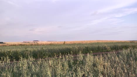 paisaje rural con campo y cielo nublado