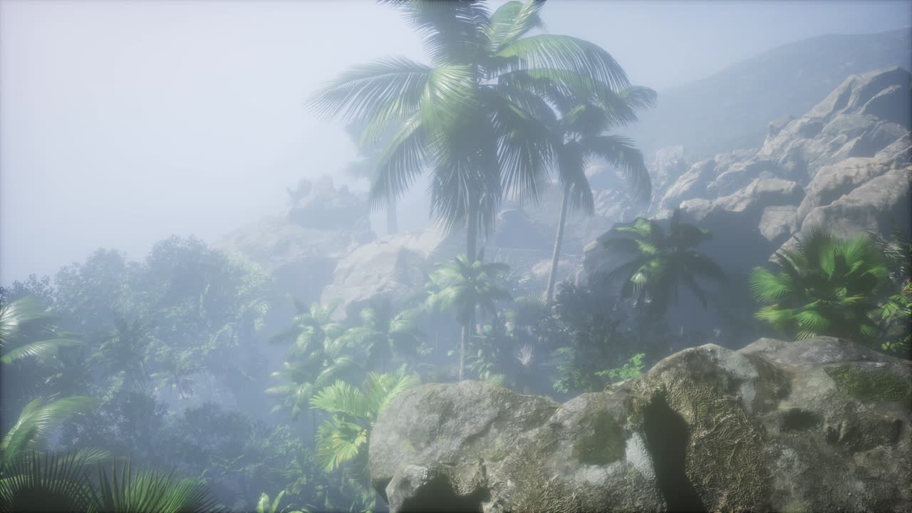 ⁇ 나무 를 가로지르는 해 가 지는 광선