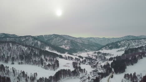 Forestry-mountains-with-coniferous-trees-covered-with-snow