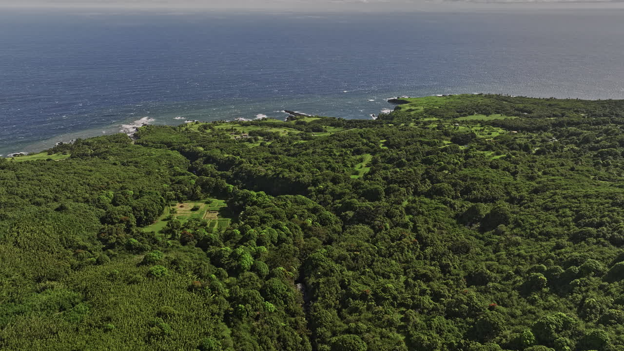 마우이 하와이 에어리얼 v47 드론 플라이오버 팔리케아 스트림 할레아칼라 국립 공원에서 울창한 식물과 태평양 전망을 가진 언덕 풍경을 포착 - mavic 3 cine - 2022 년 12 월