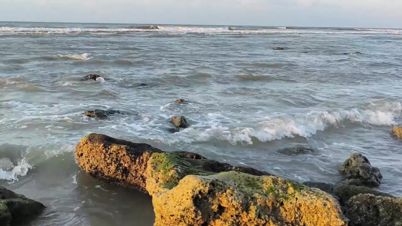 Onde oceaniche che si infrangono delicatamente contro rocce muschiose sulla battigia
