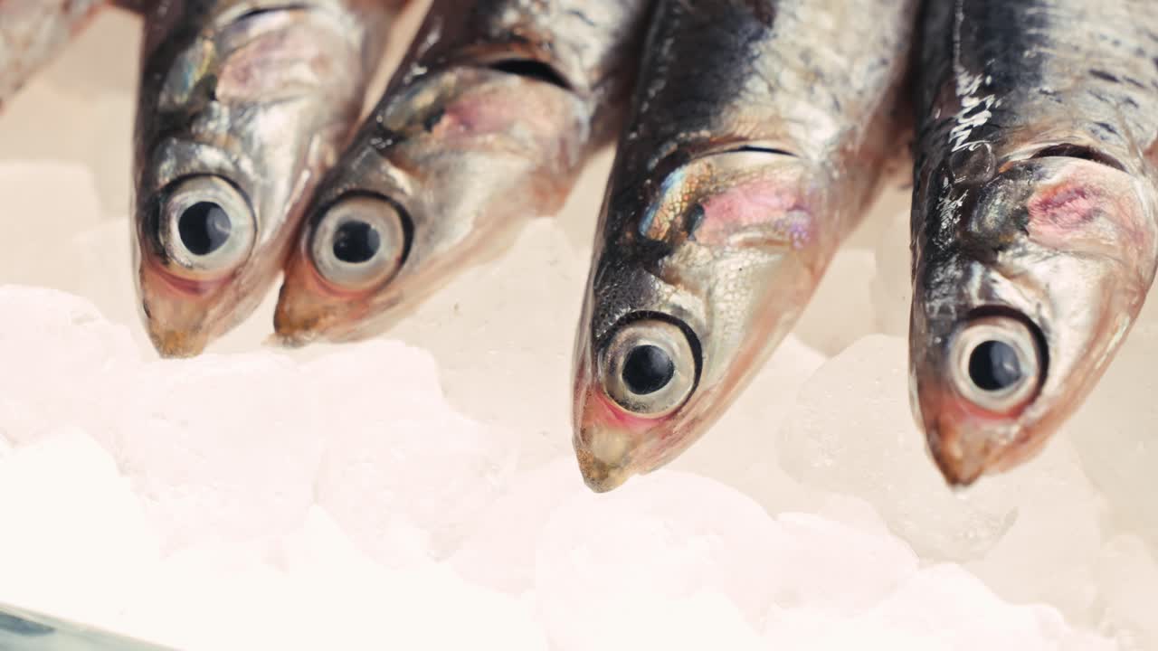 anchoas frescas en hielo