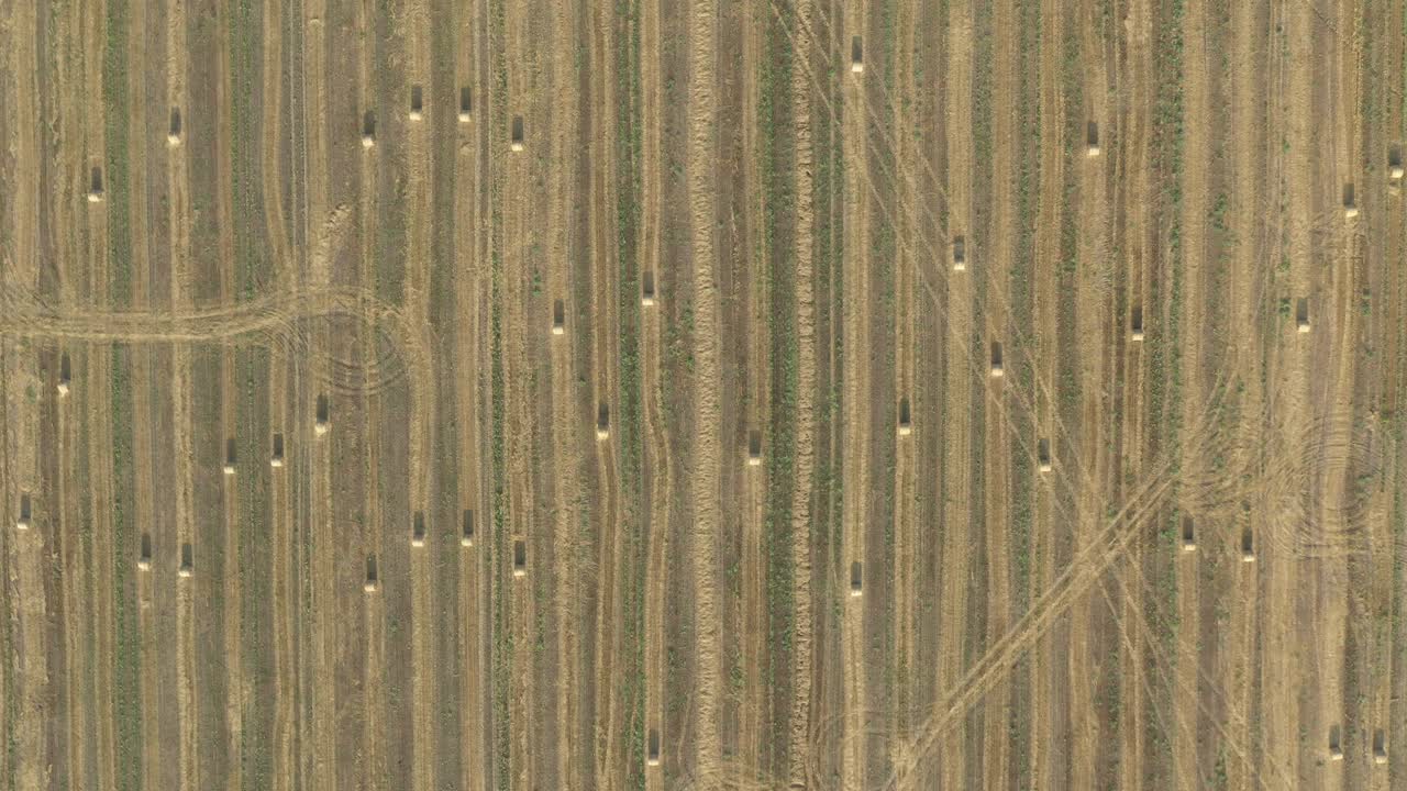 밀 에서 의 롤 4k 공중 비디오