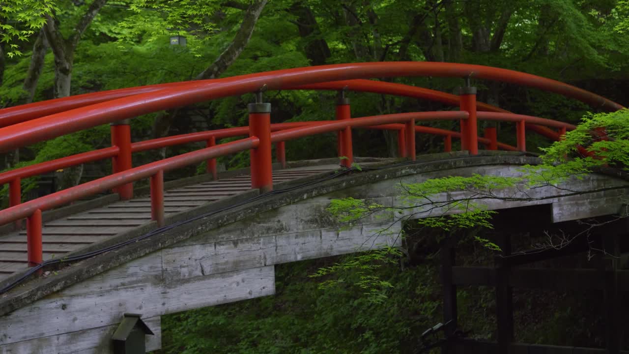 Slow tilt up over typical Japanese architecture bridge in lush green forest