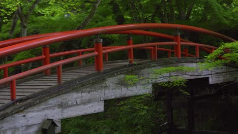 slow tilt up over typical japanese architecture bridge in lush green forest