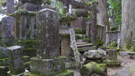 famoso templo de okunoin en koyasan en japón con crecimiento de musgo
