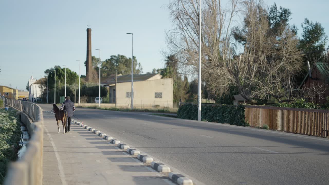 Man walking a pony on a road