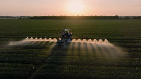 tractor spraying crops in a field at sunset