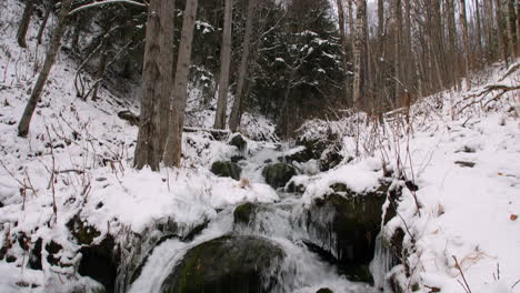 tilt down from trees and sky to a small waterfall flowing over rocks and ice in a snow covered forest in alaska