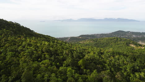 Vuelo-Aéreo-Hacia-Adelante-Sobre-La-Cima-De-Una-Colina-Salvaje-Intacta,-Koh-Samui,-Tailandia