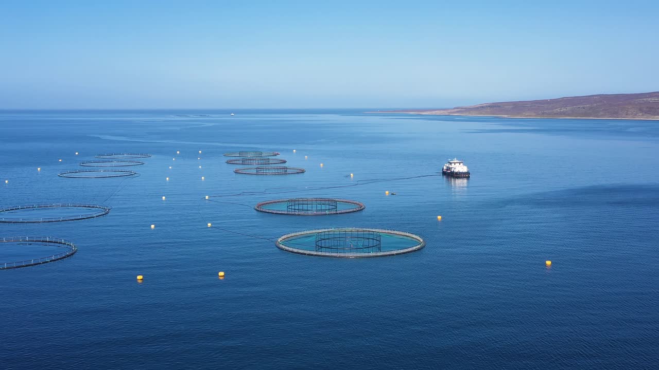 노르웨이에서 연어  ⁇ 시를 하는 공중 촬영