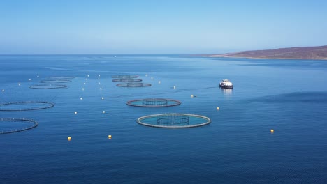 aerial footage farm salmon fishing in norway