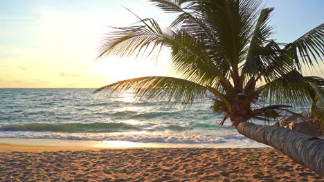 Kokospalme-Beugte-Sich-über-Den-Sandstrand-Mit-Meereswellen,-Die-Bei-Goldenem-Sonnenuntergang-Auf-Coron-Island-Brechen