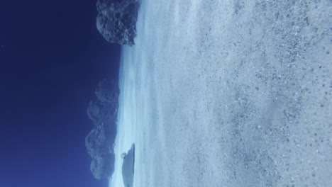 Vertical-Shot-Of-A-Stingray-Fish-Resting-On-Sandy-Bottom-Of-An-Aquarium