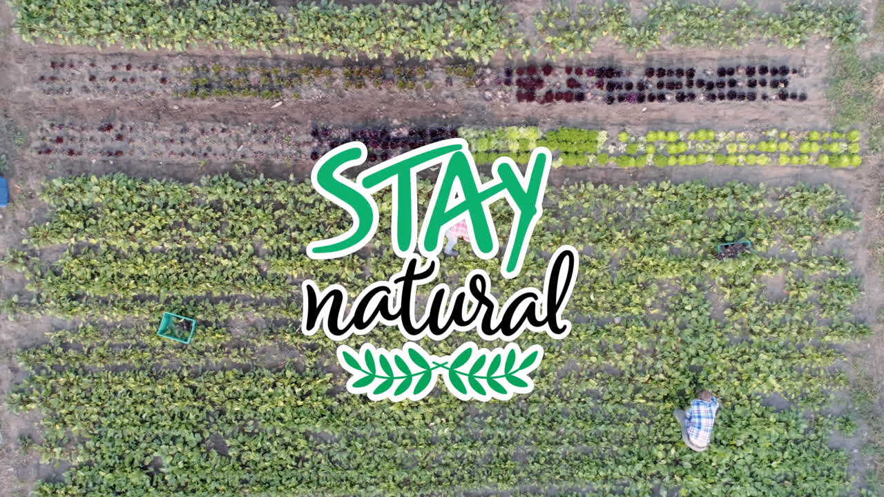 animación de estancia texto natural más de dos trabajadores en el campo