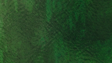 Gezeitenstrom-Mit-Smaragdgrünem-Wasser-In-Oppeid,-Nordnorwegen