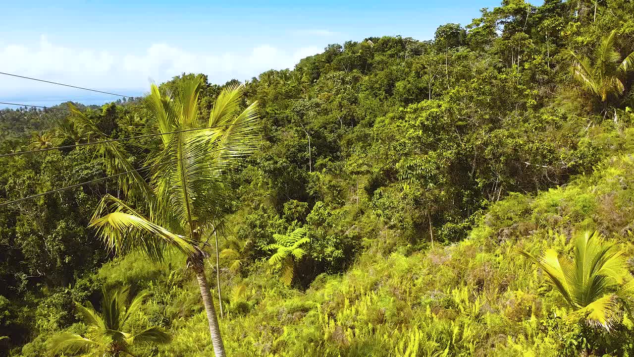mujer irreconocible tirolesa en el medio de la república dominicana