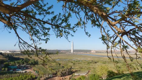 Ein-Ast-Umrahmt-Die-Skyline-Von-Rabat-Und-Den-Hoch-Aufragenden-Mohammed-Vi-Turm