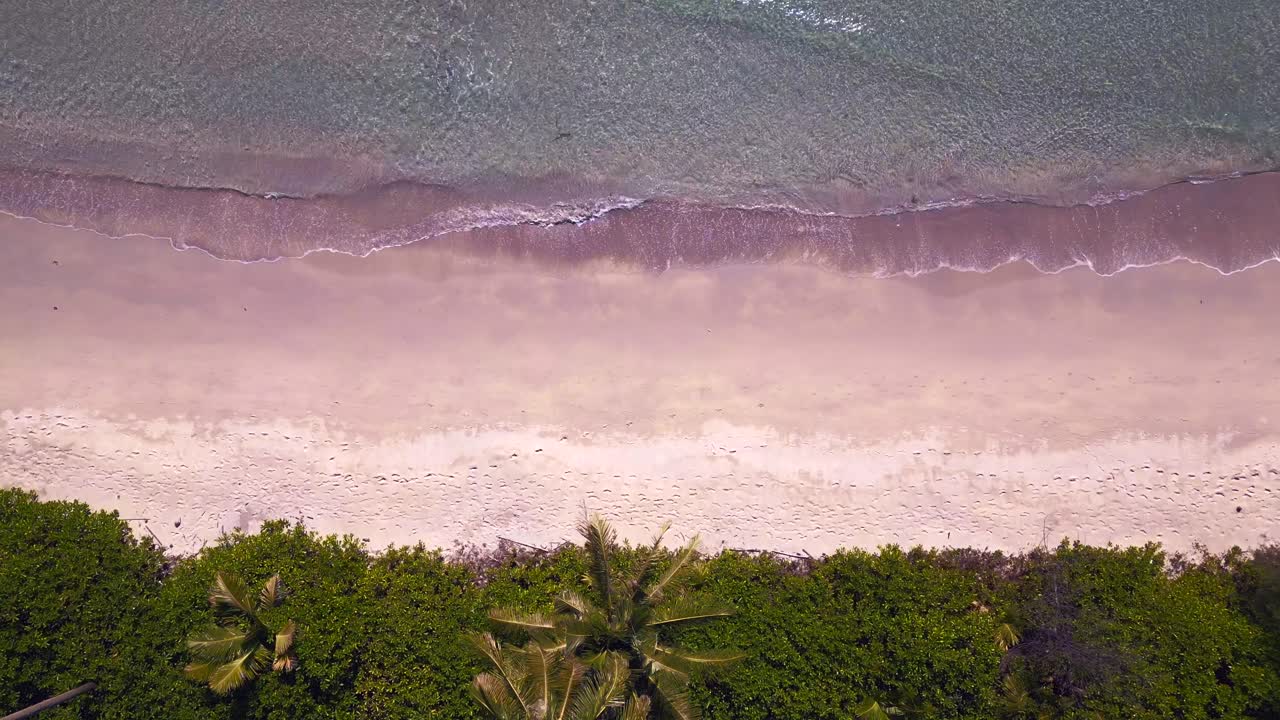 розовый пляж.