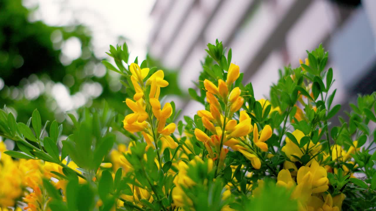 요코하마 최고의 전망