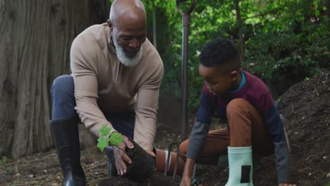 Glücklicher-älterer-Afroamerikanischer-Mann-Mit-Seinem-Enkel,-Der-Im-Garten-Pflanzt
