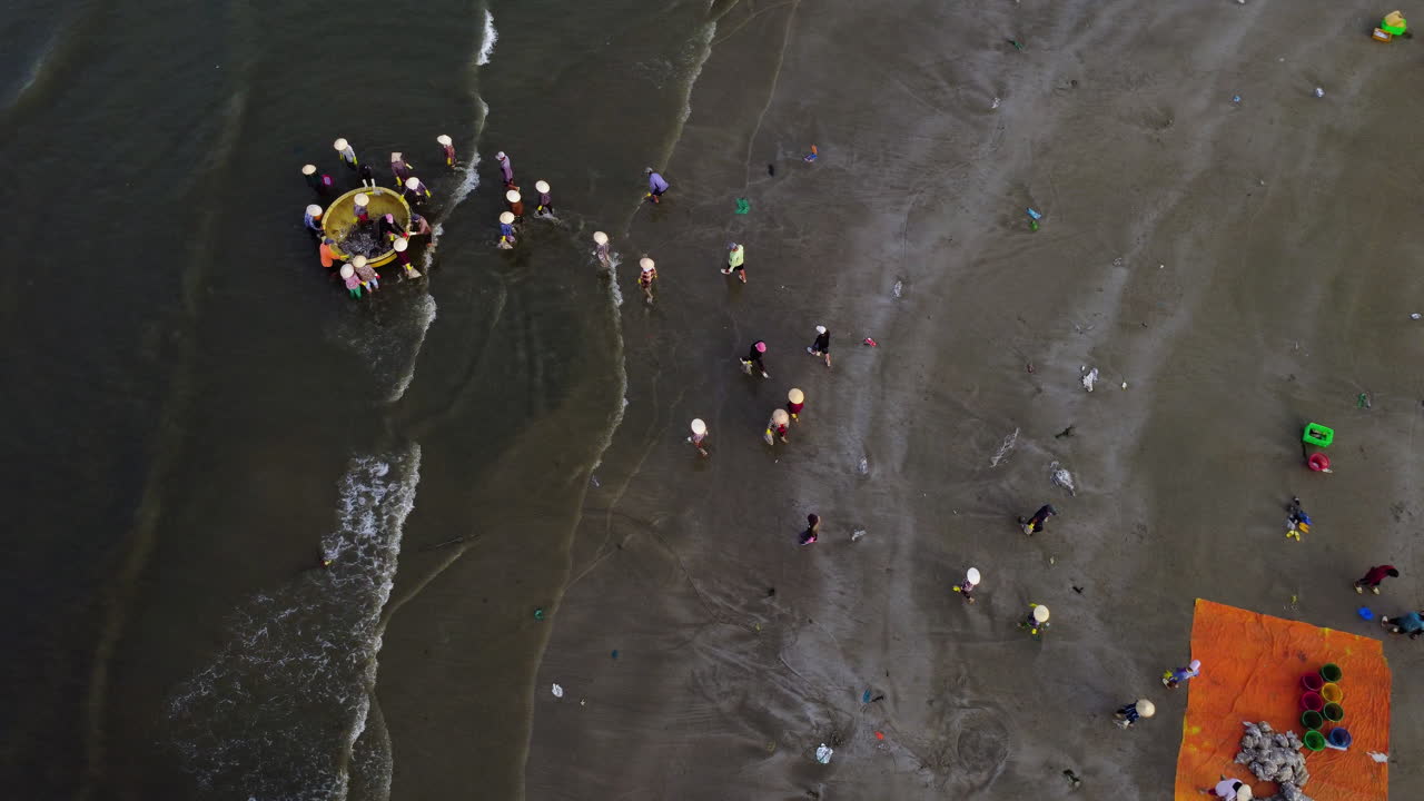 vietnamitas con sombreros de arroz asiáticos clásicos limpiando el bote coracle, que acaba de traer una tonelada de mariscos, conchas, pescado de un gran barco
