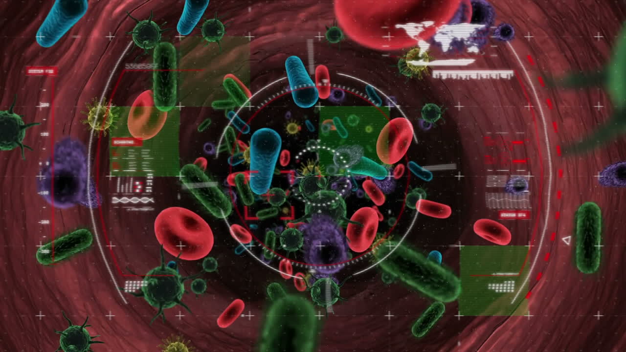 animación de los glóbulos rojos y las bacterias y el virus de la corona