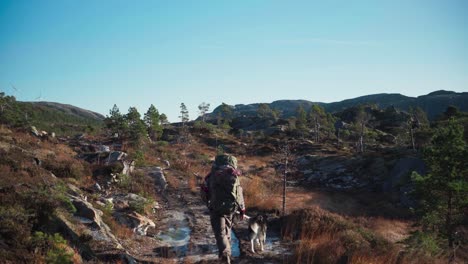 backpacker traveling with alaskan malamute dog over mountain trails during summer hike