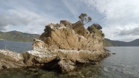 una colonia de cormoranes manchados sentados en una roca
