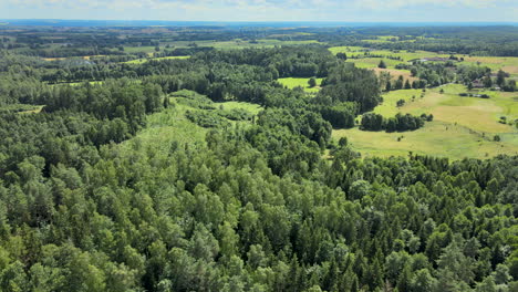 thick lush agroforestry woods of lidzbark poland aerial