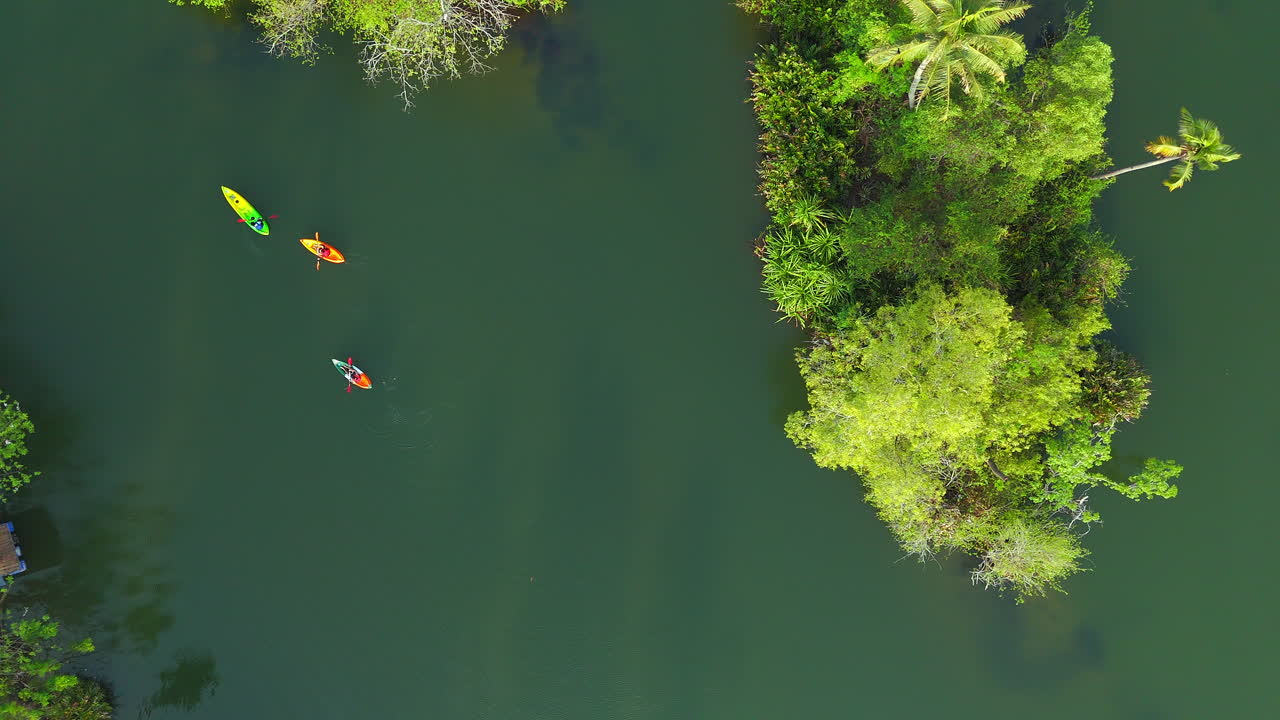 Video panoramico con ripresa drone dall'alto di piantagioni di cocco, zona costiera, paesaggio naturale del Kerala, India, con backwaters e lagune.