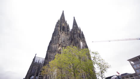 a stunning view of cologne cathedral's twin spires, framed by vibrant autumn trees under a cloudy sky. a perfect mix of natural beauty and historic architecture in cologne, germany.
