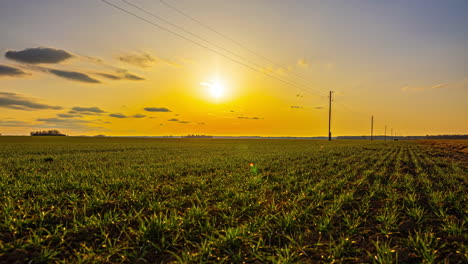 Escena-Del-Atardecer-Con-Cielo-Colorido-Sobre-Tierras-Agrícolas