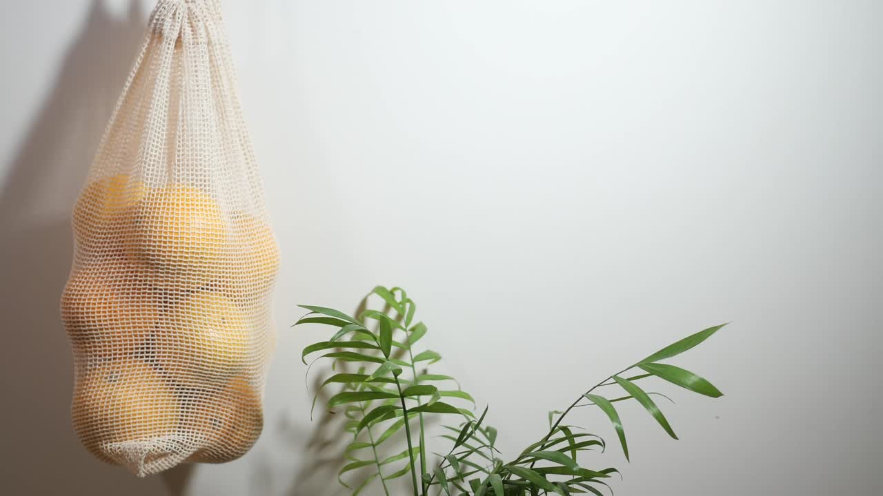 Oranges in a Net Bag with Plant