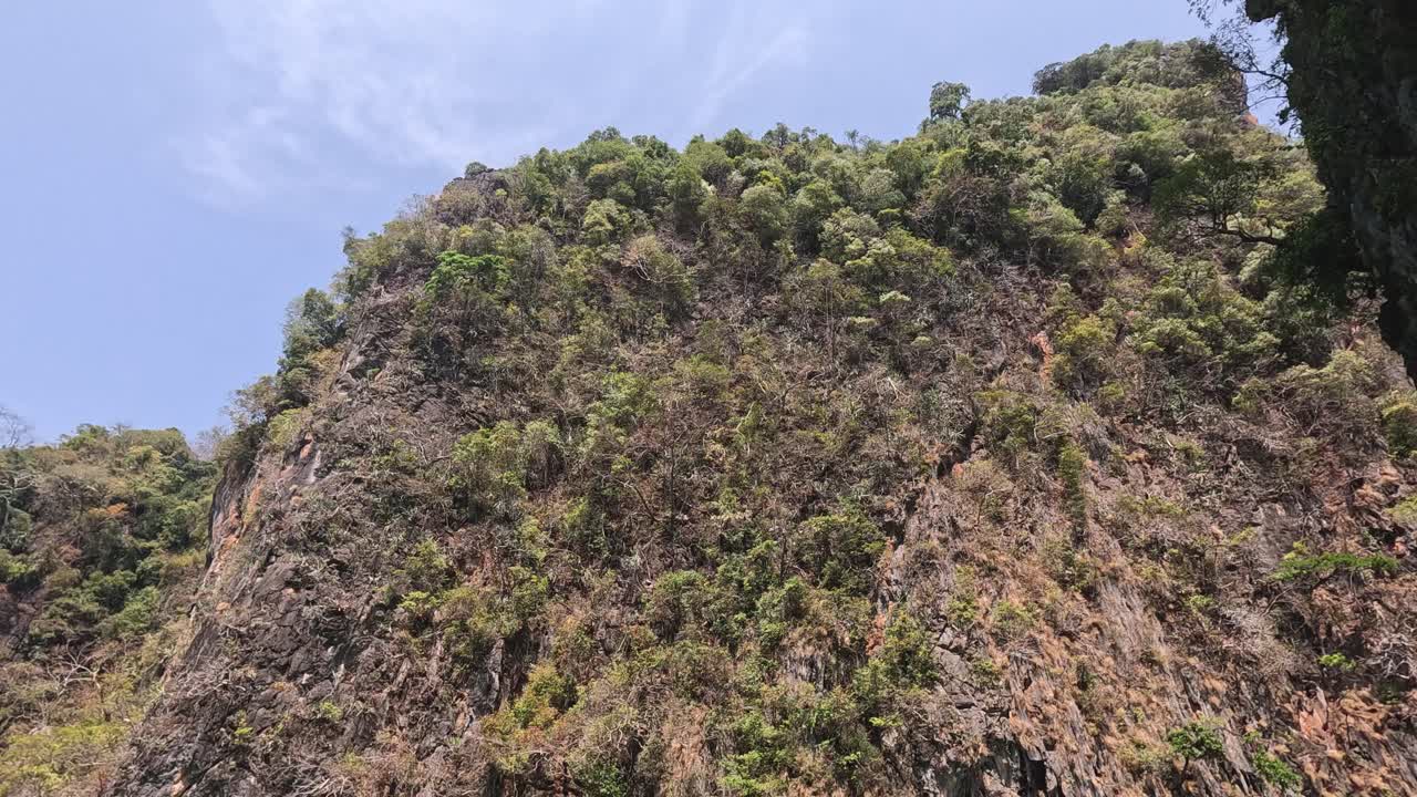 el lapso de tiempo de un acantilado rocoso con exuberante vegetación