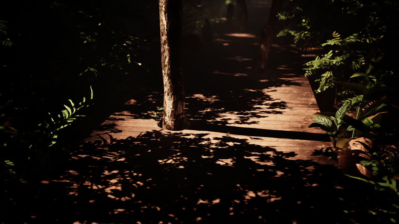 어고 울창한 정글을 가로지르는 나무로 된 길