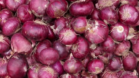 fresh-organic-onion-from-farm-close-up-from-different-angle