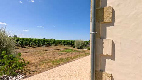 vistas panorámicas de los viñedos en saint emilion, francia