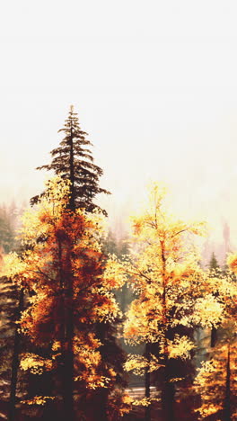 autumn forest landscape