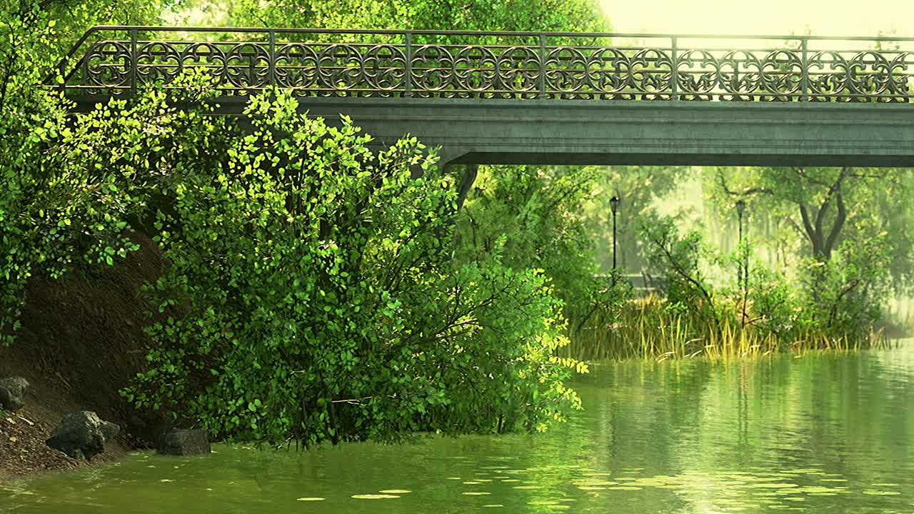 ⁇ 빛 아래 습지가 있는 도시 공원의 초록색 잔디 ⁇