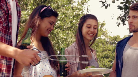 In-Hoher-Qualität-Format-Glückliche-Freunde-Im-Park-Beim-Grillen-