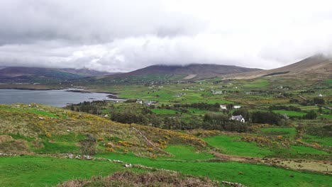 Campo-De-Irlanda-West-Cork-En-Primavera-Un-Día-Cálido-En-La-Irlanda-Rural