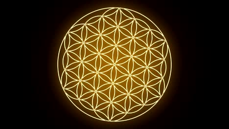 the flower of life forming sacred geometry symbol