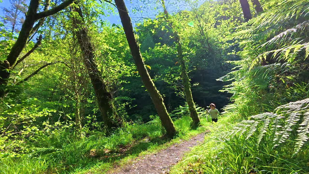 Boy running in a forest