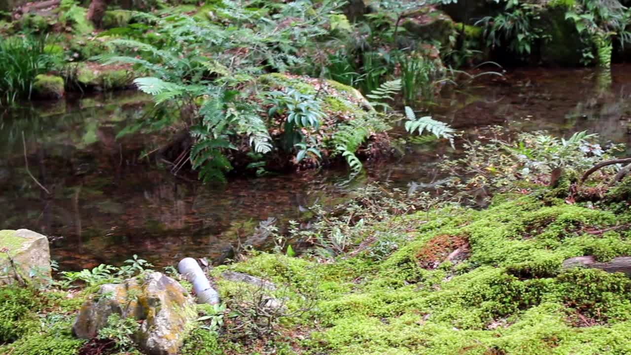The Zen Buddhism Gardens in Ohara, Japan are unique in their design based on the cultivation and care of various types of moss. It is a thousand years old