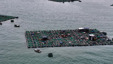 aerial of vietnamese fish breeding farms